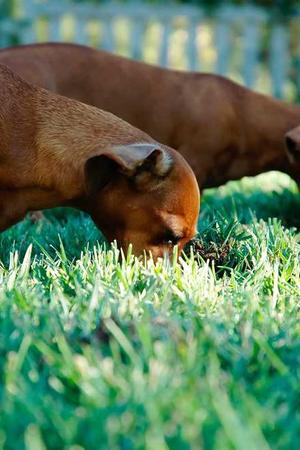 飞驰人生3电影海报